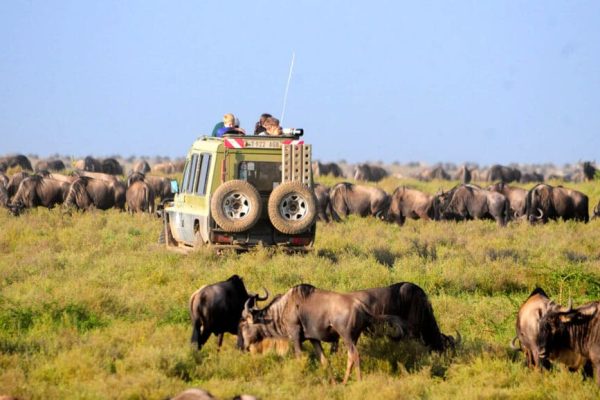 Car hire with camping gear in Tanzania