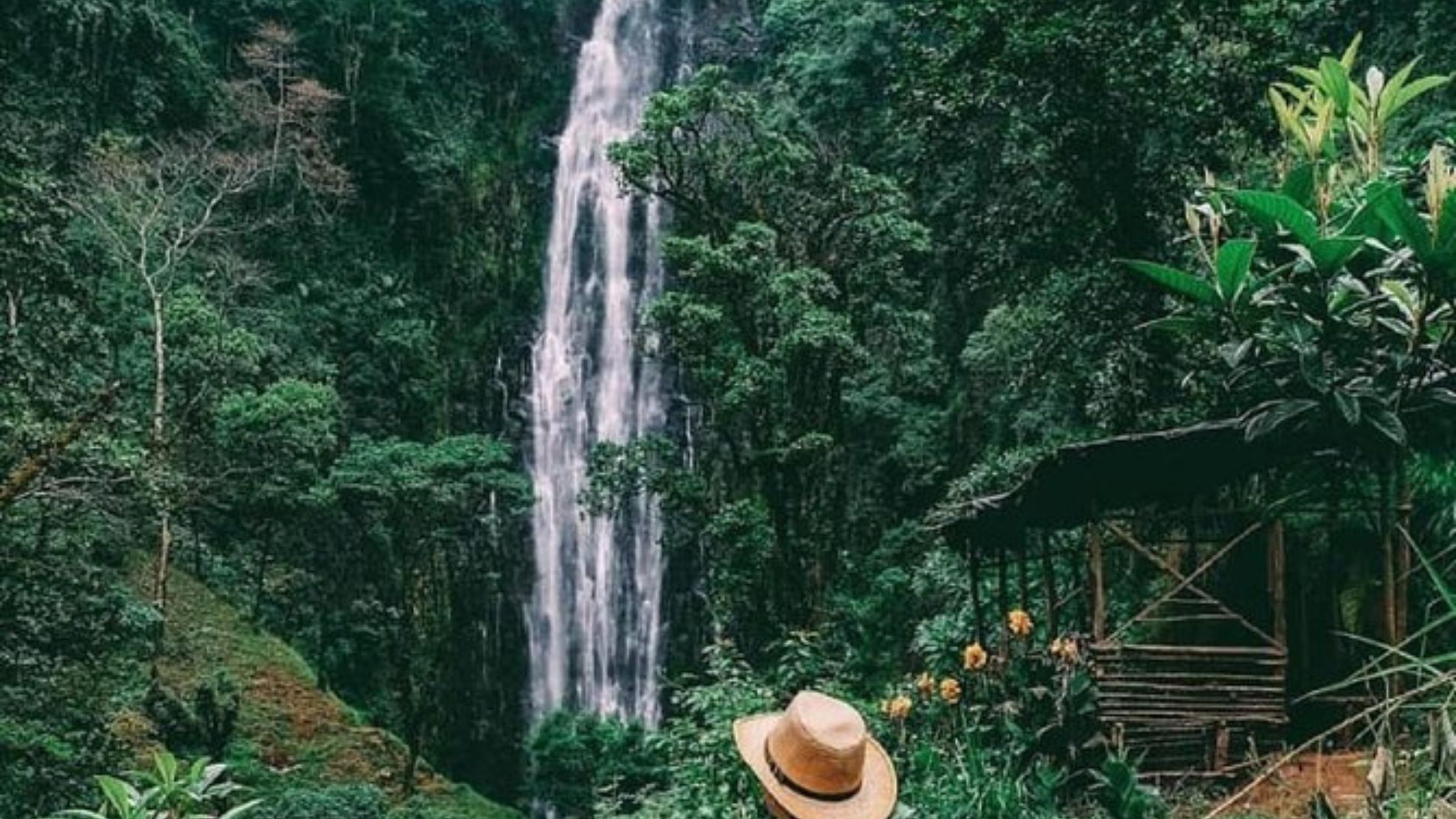 Beyond the falls: the full Materuni waterfalls experience awaits you