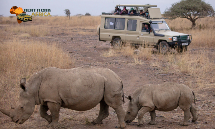Rent 4x4 Safari Vehicle East Africa