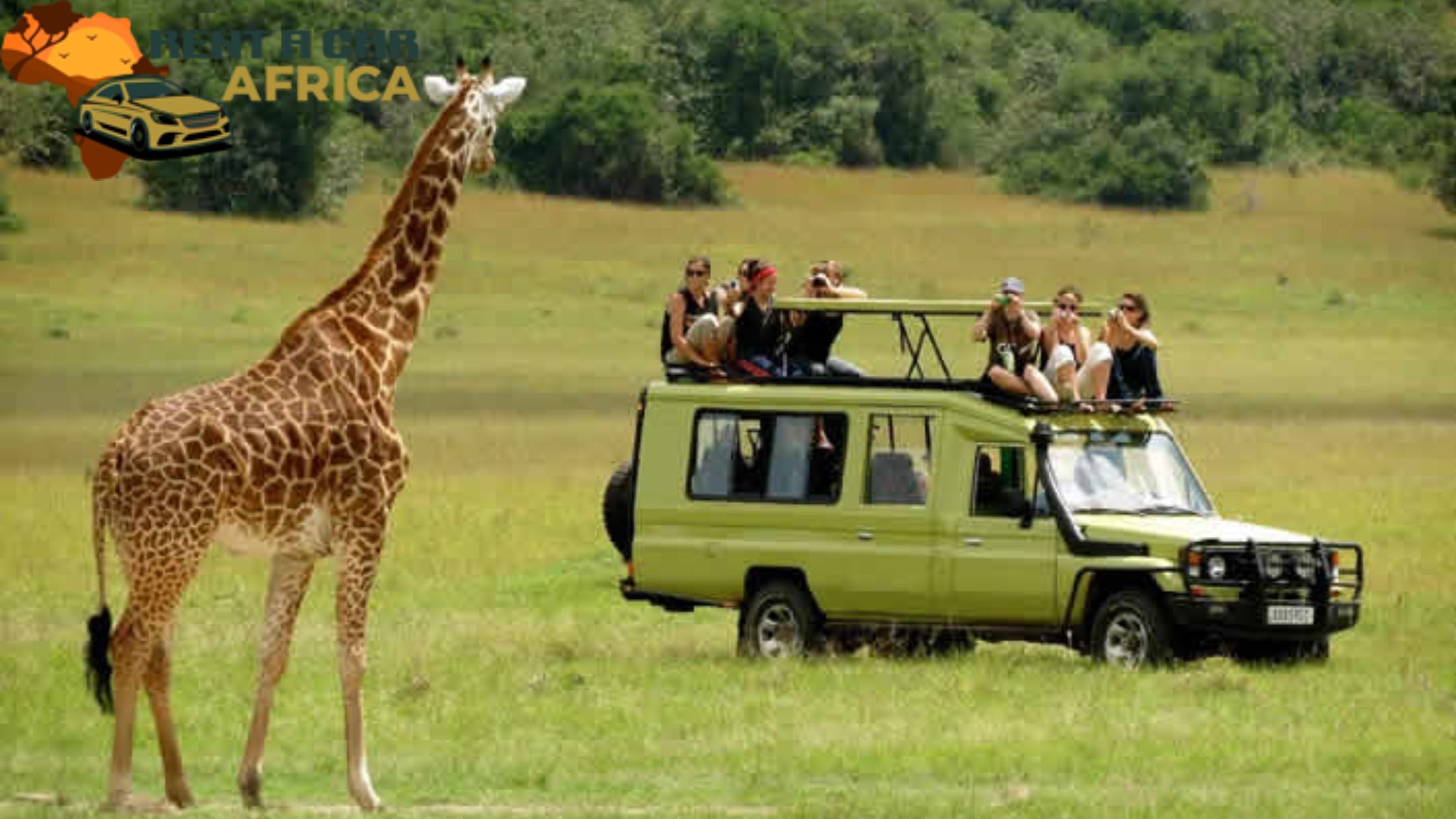 Exploring Uganda Your Way: The Benefits of a Self-Drive Adventure