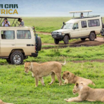What Self-Drive Travelers Wish They Knew Before Renting in East Africa