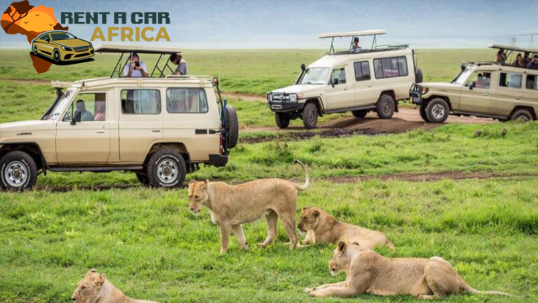 What Self-Drive Travelers Wish They Knew Before Renting in East Africa