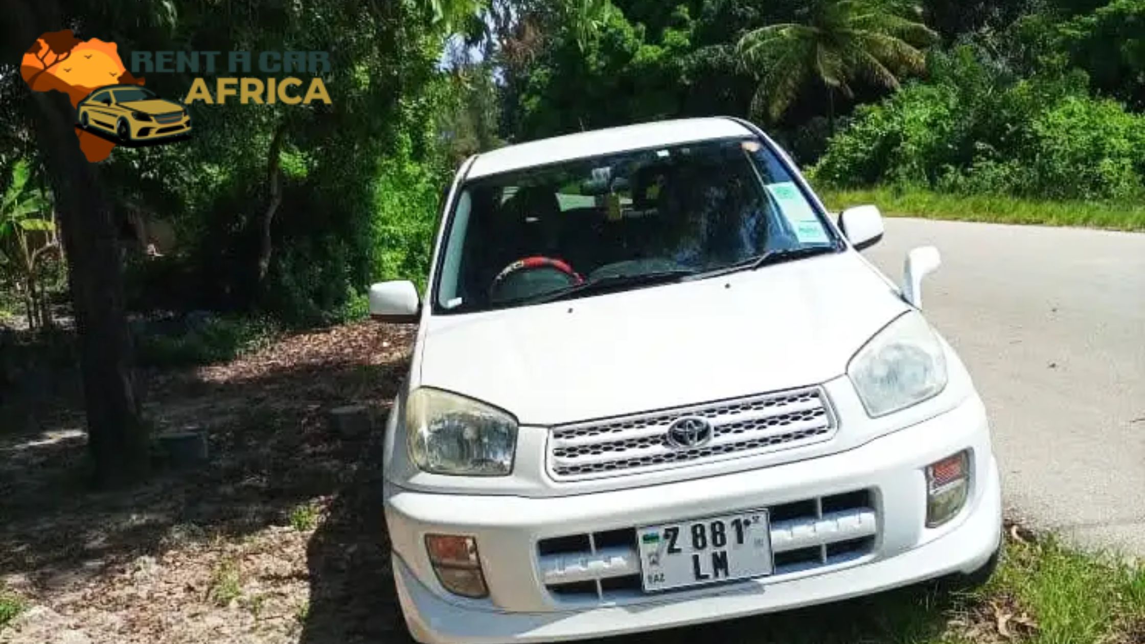 Choosing the Right Vehicle for Wildlife Journeys in Africa