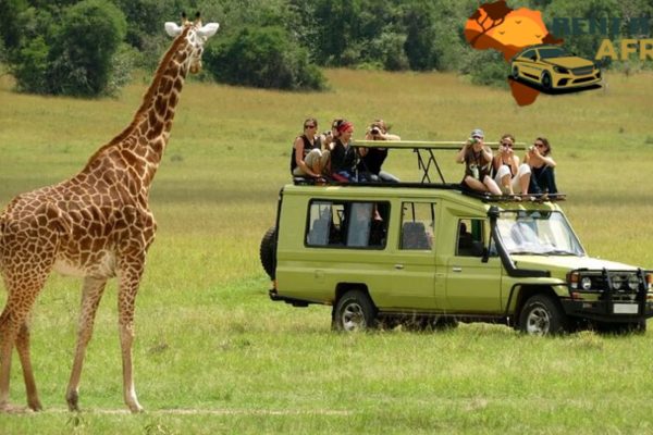 TSAVO WEST NATIONAL PARK with Rent a Car in East Africa