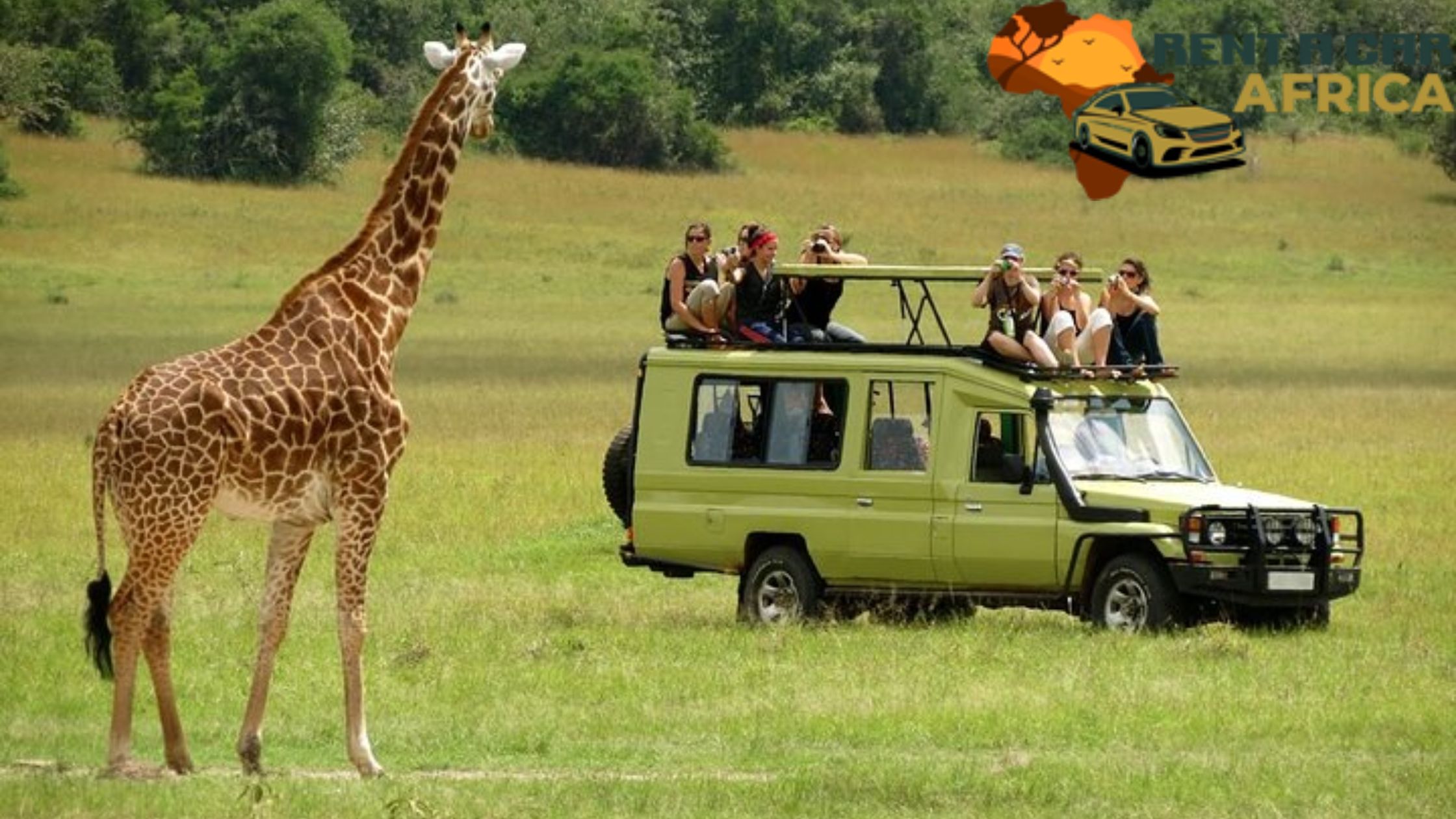 TSAVO WEST NATIONAL PARK: A COMPLETE SAFARI GUIDE TO KENYA’S WILD HEART