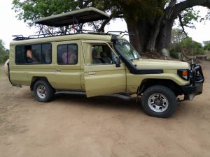safari landcruiser with a driver