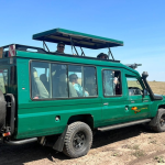 How to Explore Tanzania Without a Tour Group