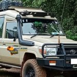 What Happens If Your Rental Car Breaks Down During a Safari?