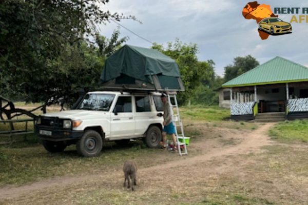 Self-drive vehicles Africa