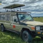 What Makes a Rental Vehicle Suitable for Kenya’s National Parks?